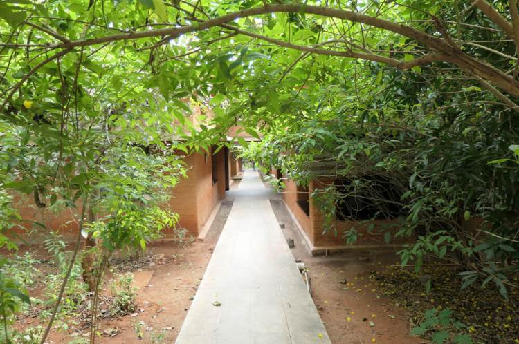 Vaidyagrama pathway